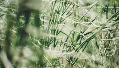 كيف تصنع تميمة الحظ السعيد بيديك