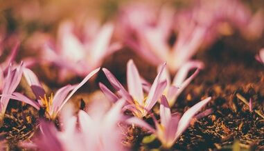 كيف تصنع تميمة الحظ بيديك